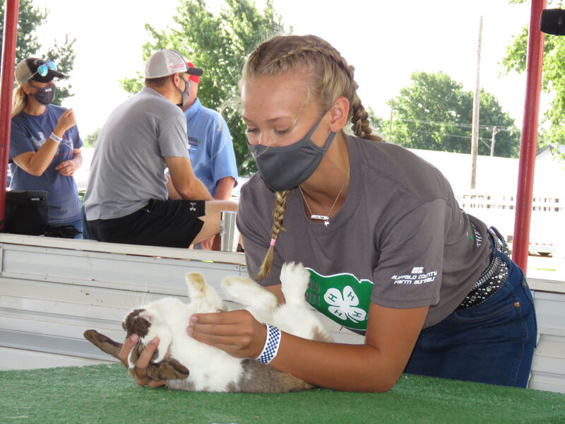 Rabbit, int. showmanship, Keeley Krohn, Kearney
